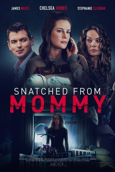 Snatched from Mommy Hindi Dubbed Movie Poster (2021)