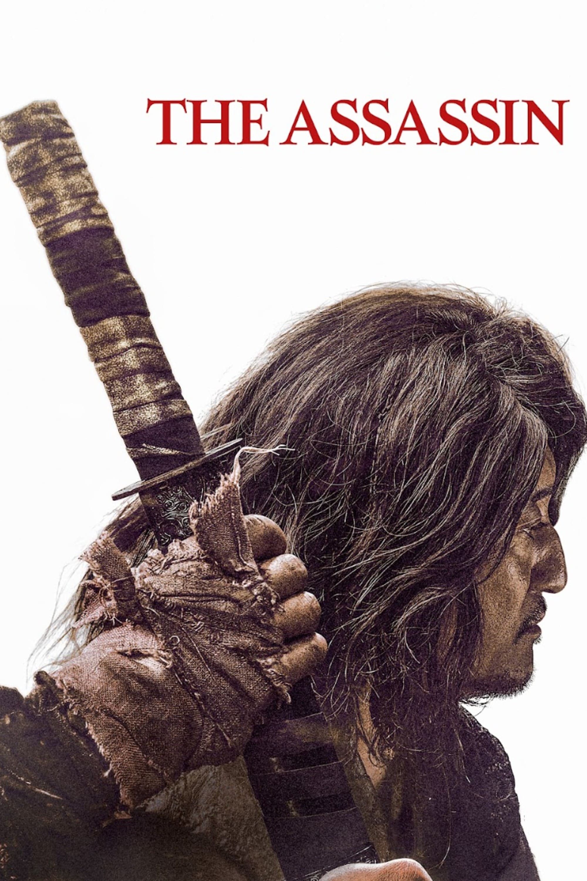 The Assassin Hindi Dubbed Movie Poster (2023)