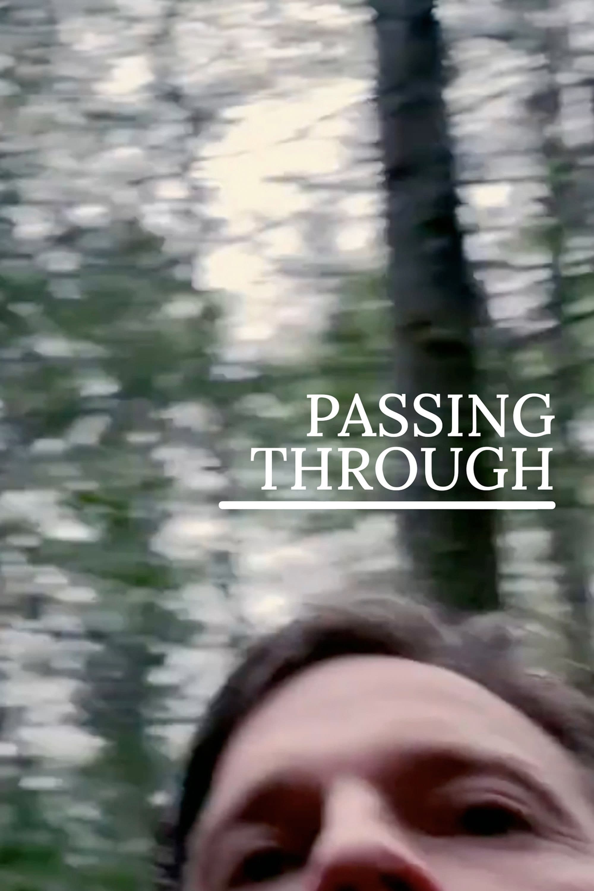 Passing Through Hindi Dubbed Movie Poster (2023)